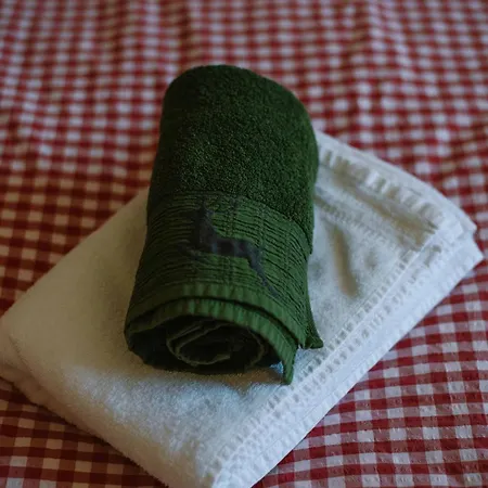 Fichtenhuette Prázdninový dům Finnentrop