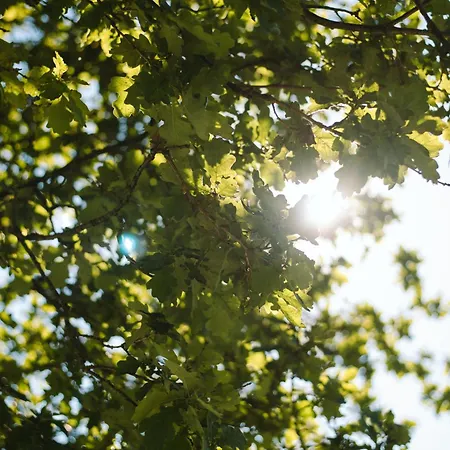 Fichtenhuette Finnentrop