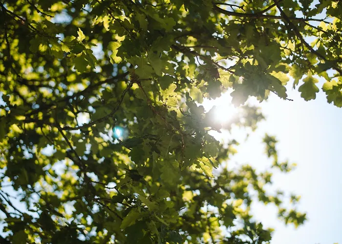 Fichtenhuette Finnentrop